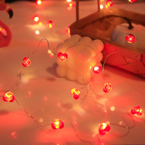 简单装饰灯少女心20LED铜线灯