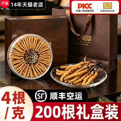 柏克森冬虫夏草官方正品旗舰店4根/g礼盒装虫草头茬新鲜干草200根