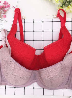 桑扶兰文胸女特价清仓小胸聚拢冬季薄款上托侧收聚拢收副乳AZA06