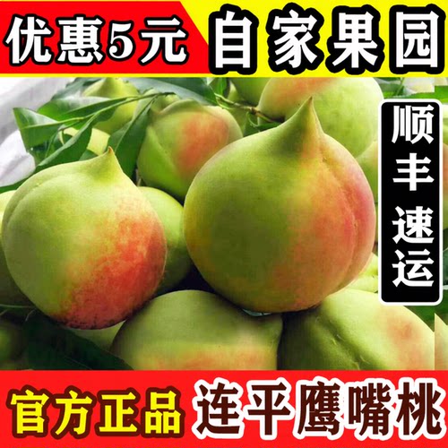 连平上坪鹰嘴桃新鲜水果桃子脆桃