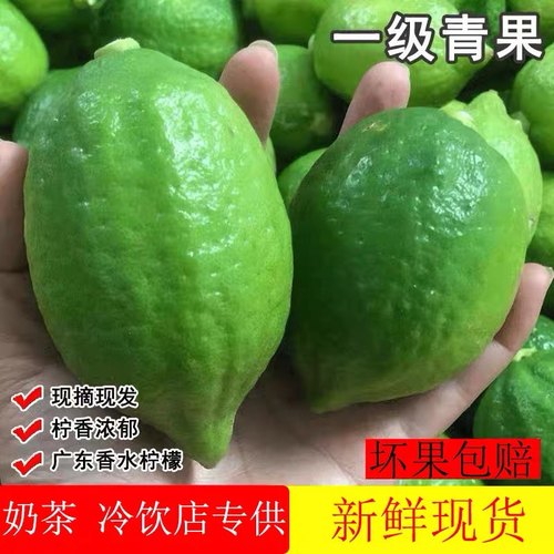 广东香水柠檬一级果奶茶店专用