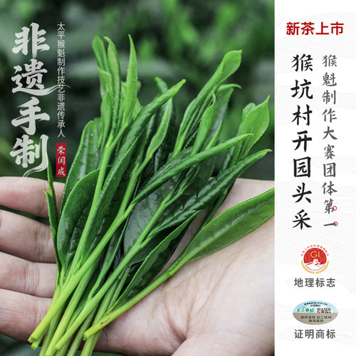 2026新茶上市核心猴坑村太平猴魁
