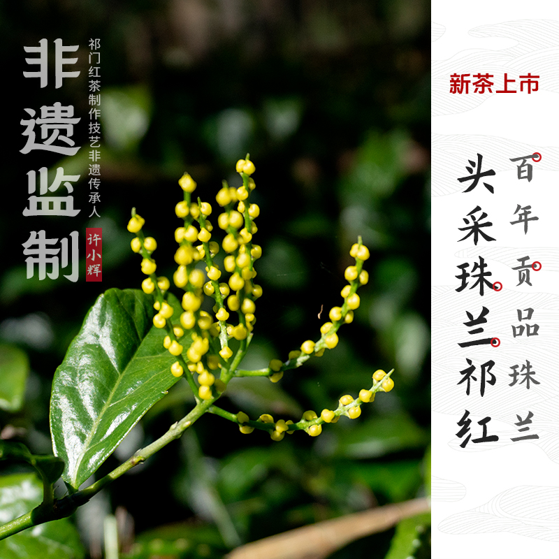 历口祁门红茶珠兰祁红