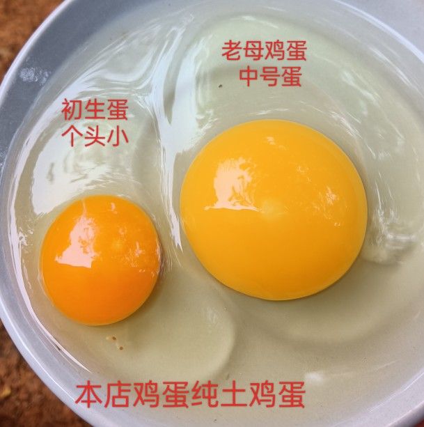 初生蛋新鲜土鸡蛋五谷喂养散养