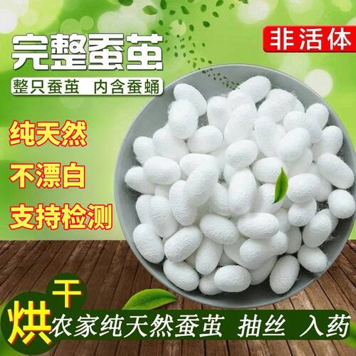 完整蚕茧壳可抽丝做手工扇