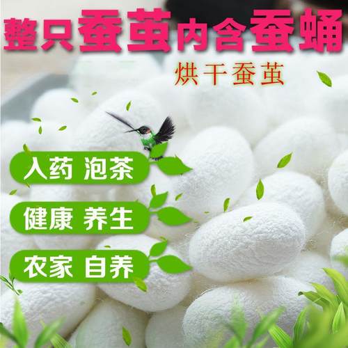 烘干完整带蚕蛹蚕茧壳