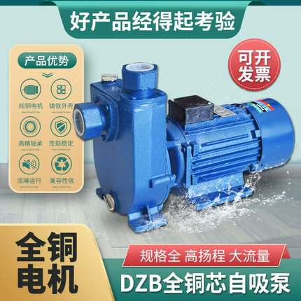 工业级单相WZB/DZB大功率1.5KW自吸泵加强泵供水泵增压泵循环泵