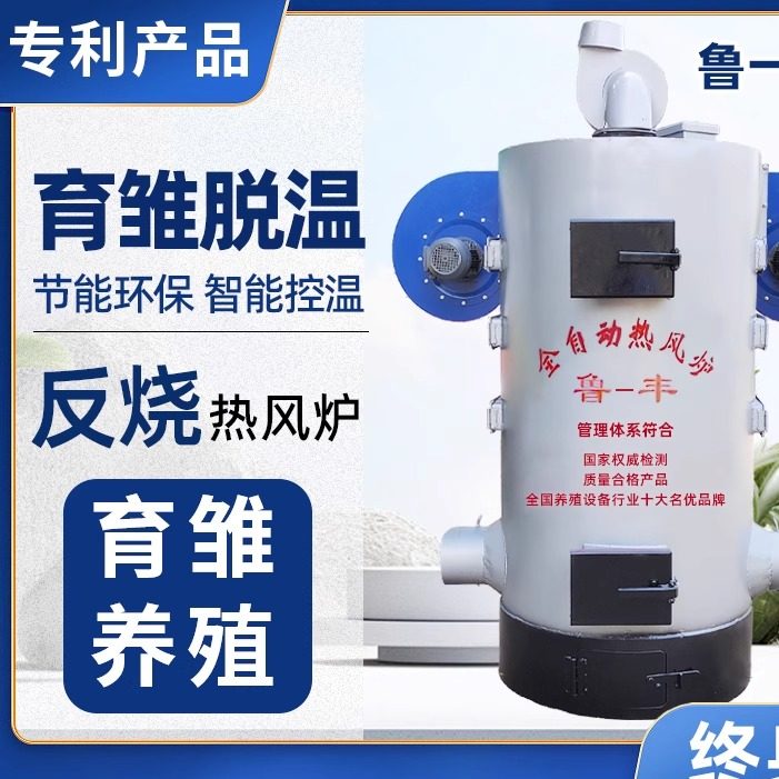 生物颗粒燃煤养殖热风炉取暖炉