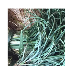 野菜小野葱去头 薤白野生小根蒜 野葱 特香葱小葱食用农产品包邮