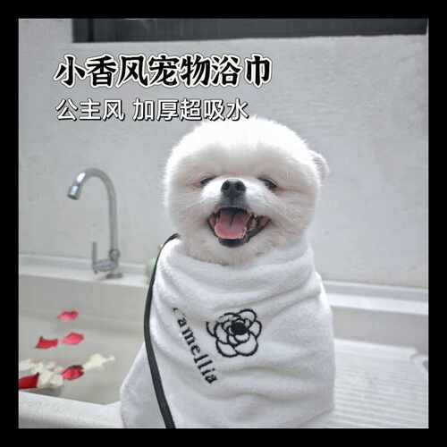人宠通用浴巾亲肤柔软吸水速干
