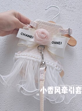 宠物狗狗猫咪衣服春夏新款小香风牵引绳套装公主裙泰迪比熊约克夏