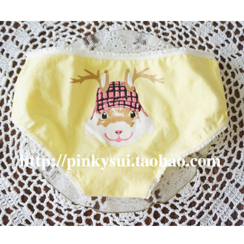 Slip jeunesse L237 en coton - Ref 642968 Image 5