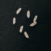 招财刻字七粒米钥匙扣金属小葫芦挂件办公室福禄摆件可随身钥匙扣