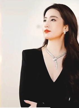 路易刘亦菲同款项链 欧美蛇动物锁骨链高级感项链手链套装