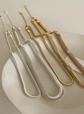 高级感金属蛇骨链女小众设计复古个性简约百搭气质项链颈链锁骨链