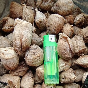 桑螵蛸螳螂仔生桑螵蛸中药材50g包邮