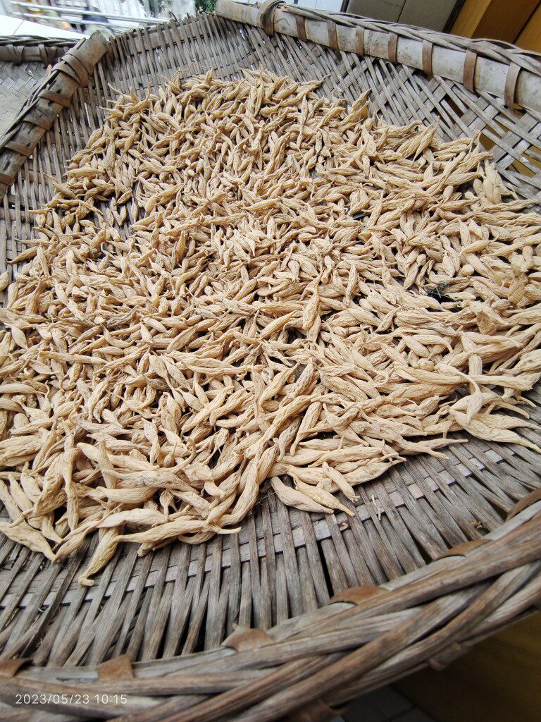 野生麦冬新鲜麦冬干麦冬晒干正宗麦冬中药材麦冬特级一等品干货
