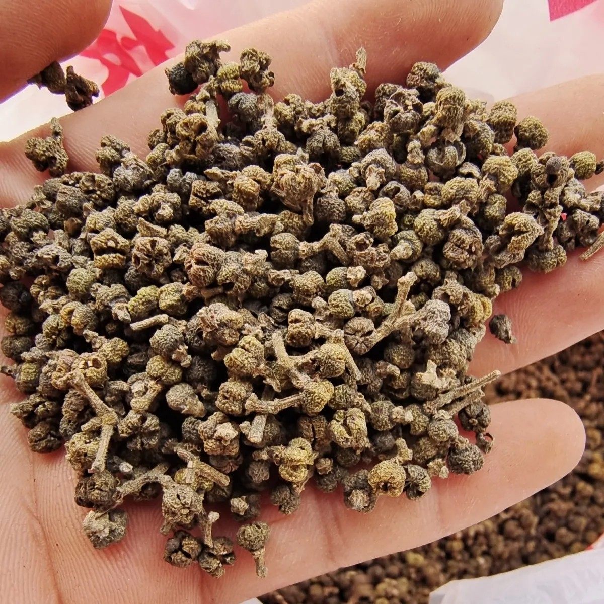 野生吴茱萸中药材 新货小花吴茱萸 陈年吴茱萸药味浓