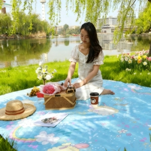 便携式野餐垫户外加厚防水防潮垫可机洗露营垫子超声波牛津布地垫