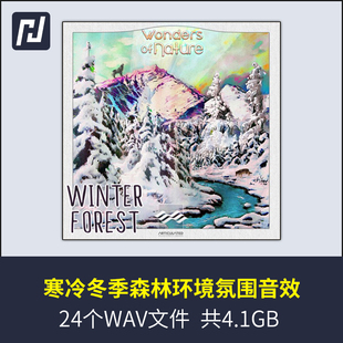 冬天冬季寒冷环境严寒森林鸟叫声树枝风雪自然环境音效高品质实录