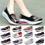 Mùa xuân và mùa thu Giày Bắc Kinh cũ Giày vải của phụ nữ Giày đế bệt - Plimsolls giầy puma nữ