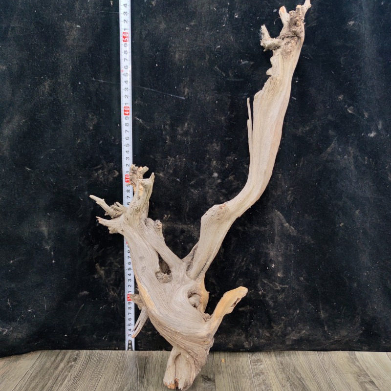 山西太行崖柏原木摆件根雕工艺品