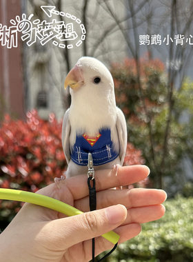 宠物鹦鹉鸟玄凤超轻背带衣服