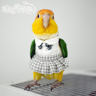 加绒加厚保暖卫衣飞行棉服jk制服 清晰小梦想宠物鹦鹉鸟衣服冬季