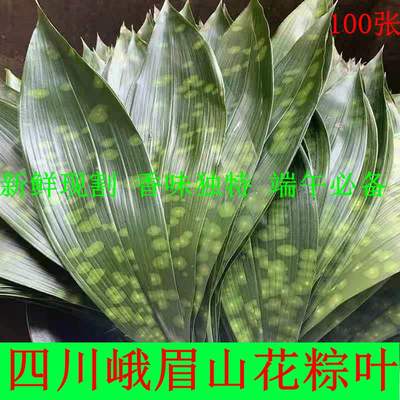 极速发货：特大号花粽叶热卖特大四川峨眉山新鲜粽子叶花色随机发