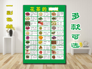 各类花茶的功效简介作用贴纸海报自粘广告图片宣传画茶叶店挂装饰