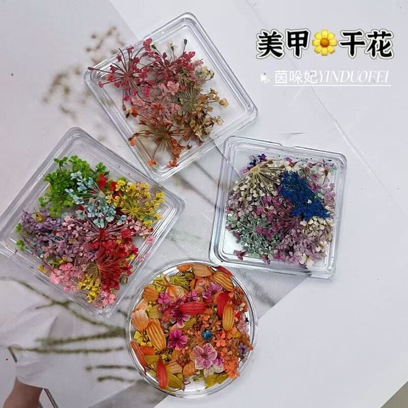 小干花迷你花瓣彩色干花美甲饰品图片
