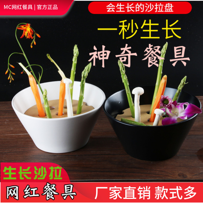 网红抖音创意谢霆锋决战厨神植物盆栽万物生长沙拉干冰餐具器皿碗
