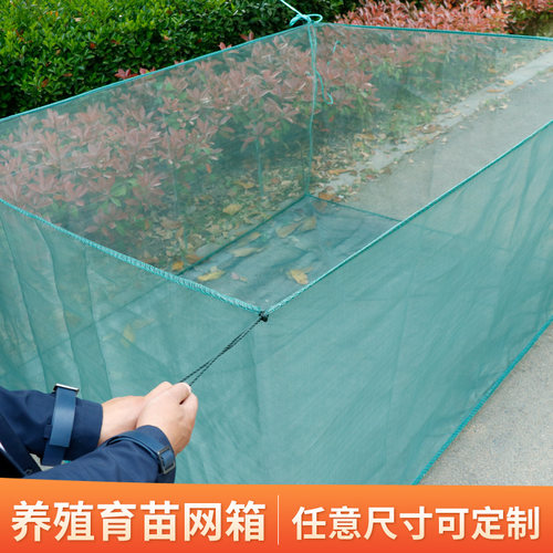 黄鳝养殖支持定做鱼苗养鱼苗网箱