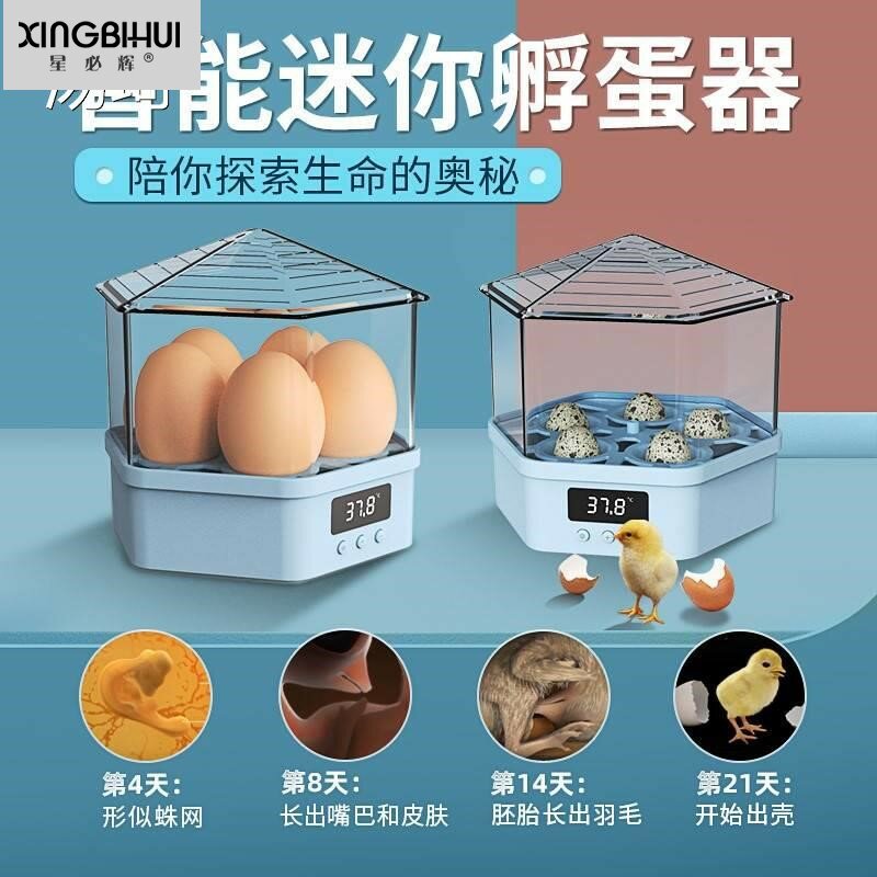 芦丁鸡孵化器鸽子鸭孵蛋器鸡蛋神器儿童小鸡小型家用鸟蛋鹦鹉鸡苗