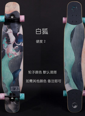 逆山初学者刷街滑板专业长板