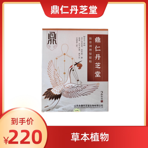 鼎仁丹芝堂黑膏贴筋骨贴
