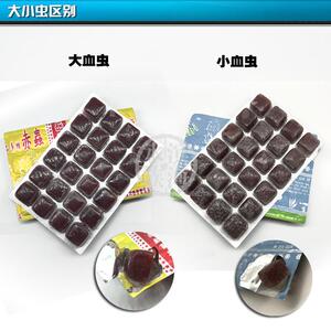 包邮岳氏旺族冷冻冰冻 红虫 赤虫血虫 水族观赏鱼饲料鱼食15板