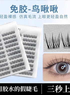 免胶鸟啾啾假睫毛韩系鸟系免卸自粘分段式新手仿真自然柔软假睫毛