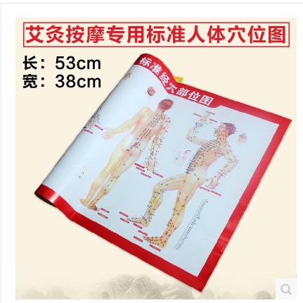艾灸人体经络图挂图穴位图附常用施灸参考双面图艾灸图纸