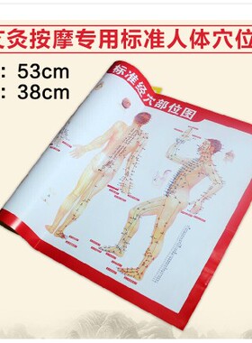 艾灸人体经络图挂图穴位图附常用施灸参考双面图艾灸图纸
