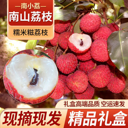 南山糯米糍桂味荔枝现摘深圳特产