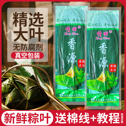 香源粽子叶新鲜真空包装粽叶子箬叶包粽子叶专用棕叶大码家用