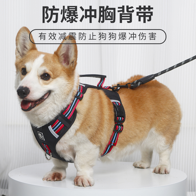 宠物胸背防爆冲柴犬柯基狗狗牵引绳安全出行中大型犬遛狗牵引绳子