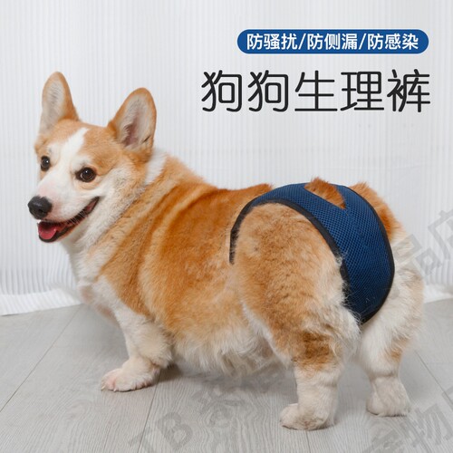 狗狗生理裤姨妈裤柯基母狗经期月经防脱防骚扰宠物生理期安全裤女