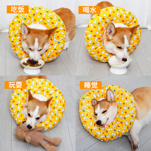 宠物伊丽莎白圈头套软耻辱脖圈防咬防舔防水柯基柴犬狗狗绝育用品