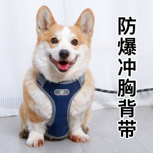 狗狗胸背带牵引绳防爆冲
