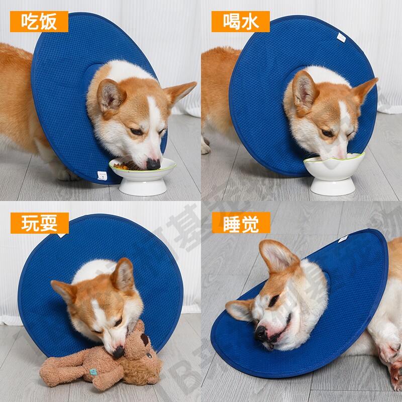 狗狗伊丽莎白圈软圈防舔神器