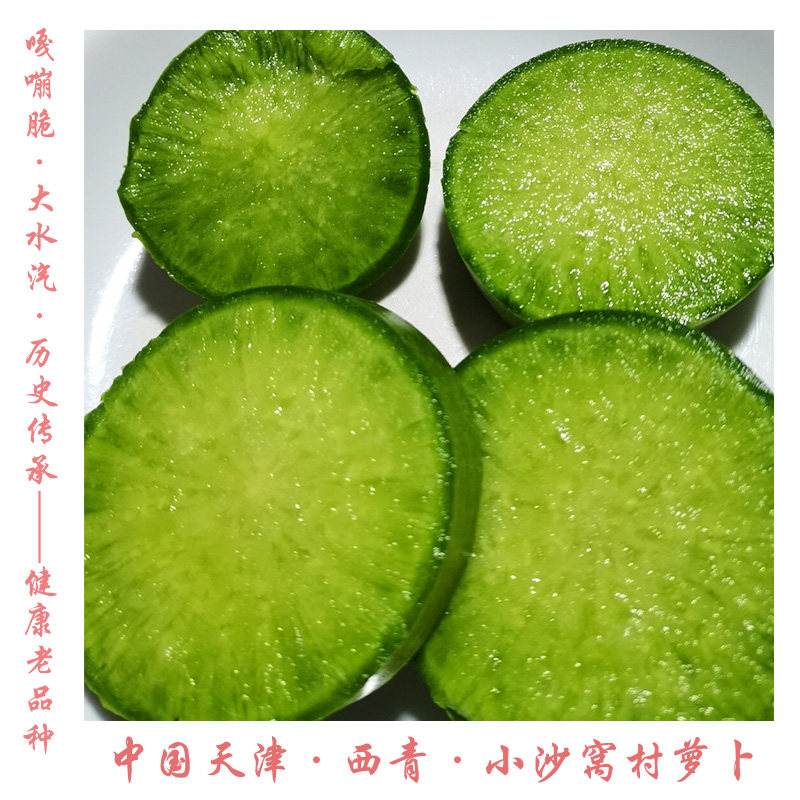 天津特产正宗传统小沙窝萝卜原产地水果型青萝卜脆甜微辣原味萝卜