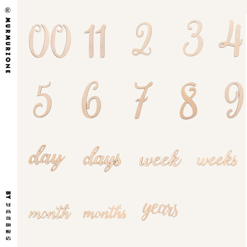 宝宝出生准备怀孕记录森系道具