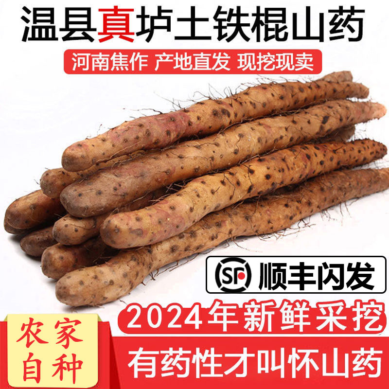 精品垆土铁棍山药河南焦作温县正宗铁杆怀山药新鲜淮山药5斤包邮